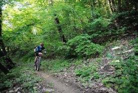 Rally di Romagna 2022 - Parte 4