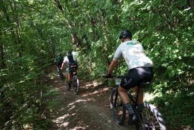 Rally di Romagna 2026